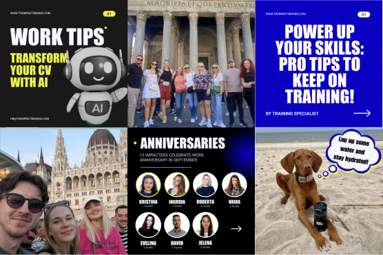 social feed gallery